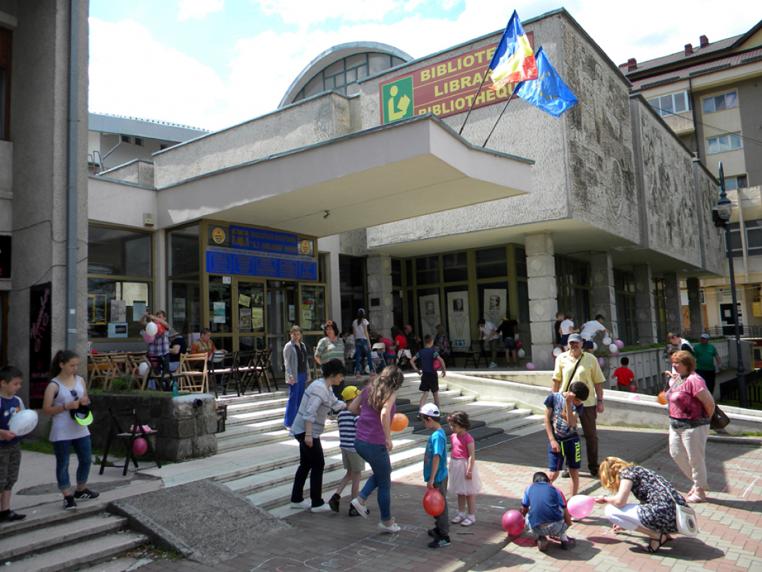 Program de lucru cu publicul