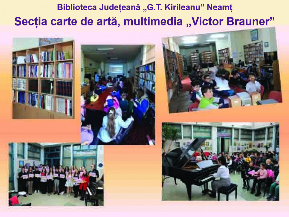 Secţia carte de artă, multimedia „Victor Brauner”
